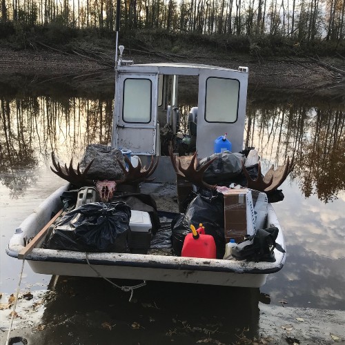 alaska moose hunting